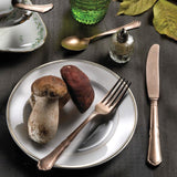 Cucchiaio Frutta, collezione Settecento Alchimique Bronze - Pintinox