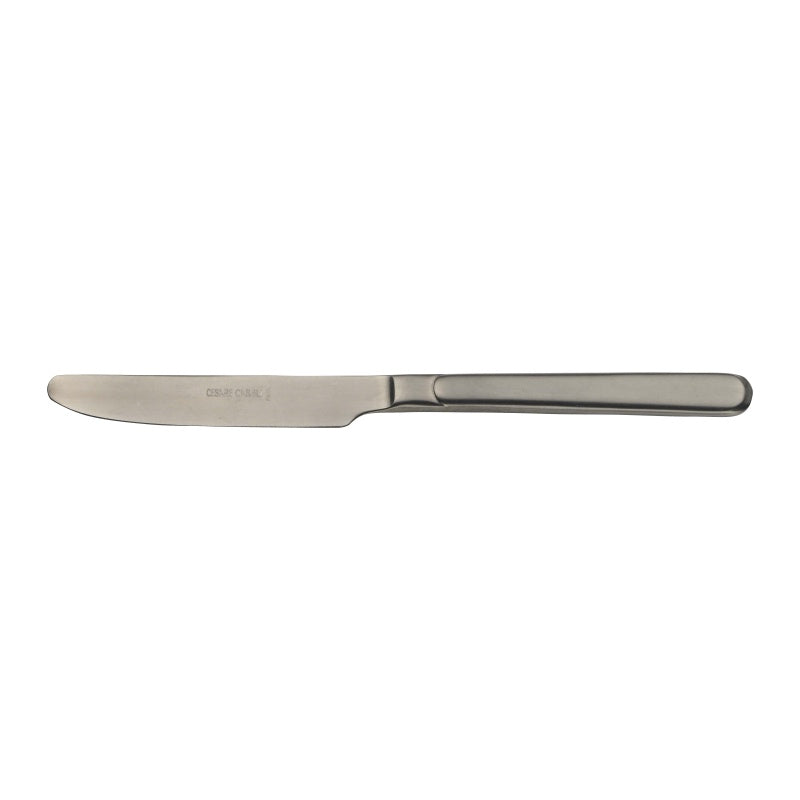 Coltello Tavola, collezione Casali Alchimique Titanium - Pintinox