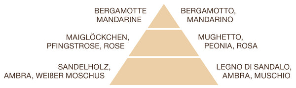 Shampoo und Duschgel 75 ml Argania