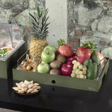 Porta Frutta con Base Bassa, buffet Caleido - Pintinox